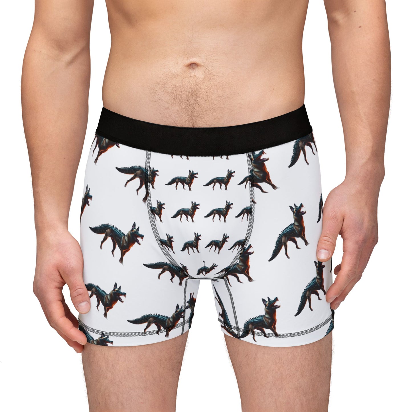 Men's Boxers (AOP)